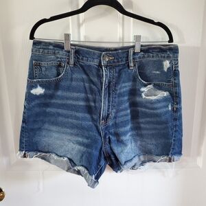 American Eagle Outfitters Blue Jean Shorts